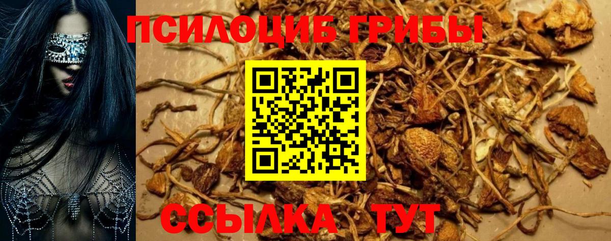 Белогорск  Галлюциногенные грибы мухоморы  Вход с VPN 
